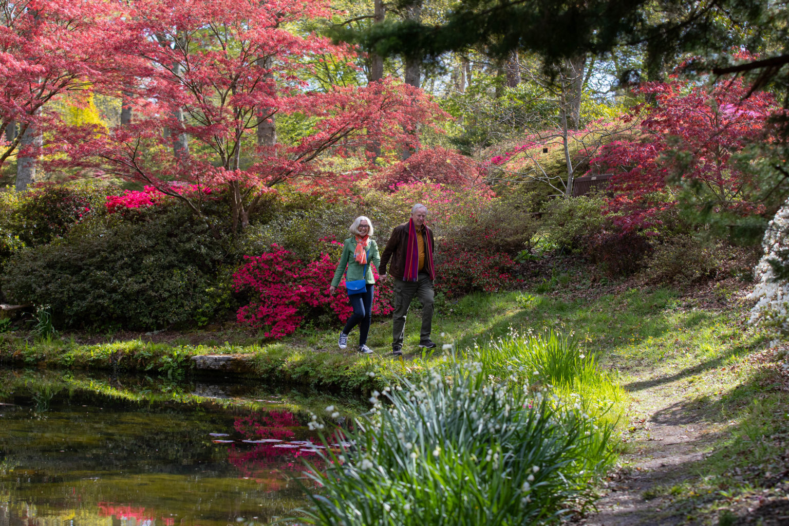 Heathside Travel Exbury Gardens and Railway